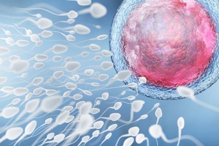 Sperma-analyse is een mannelijke vruchtbaarheidstest
