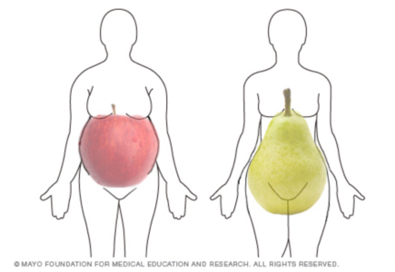 lichaamsvorm van appels en peren