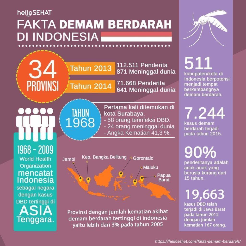 dengue fever hellosehat in Indonesië