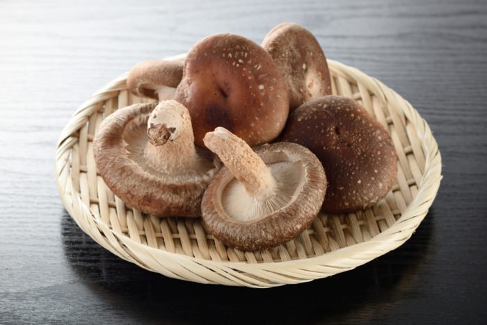 voordelen van shitake-paddenstoelen