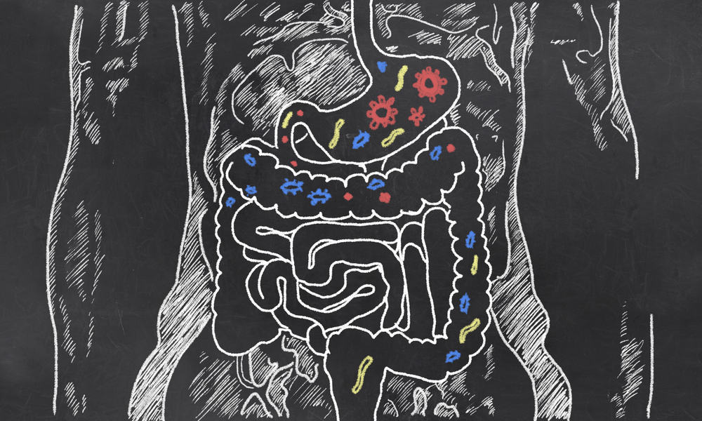 voedingspatronen gebaseerd op bacteriën in de darm
