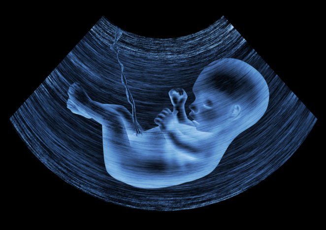 foetale ontwikkeling in de baarmoeder