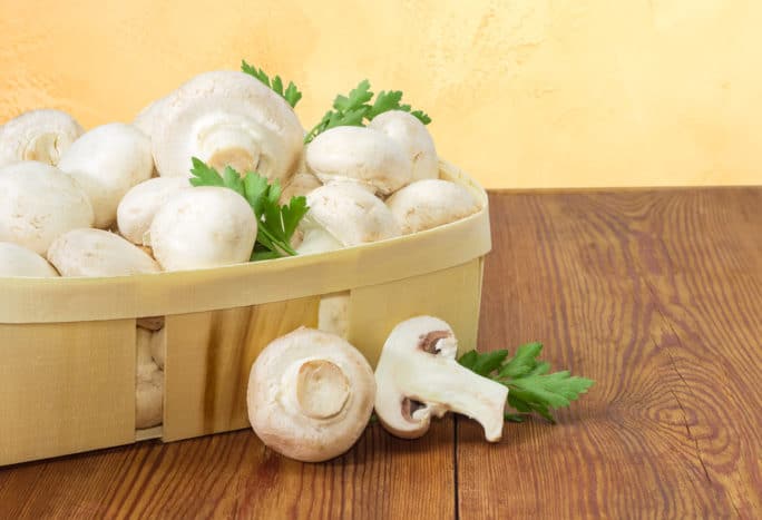 de voordelen van paddenstoelen en hun gezondheidsrisico's