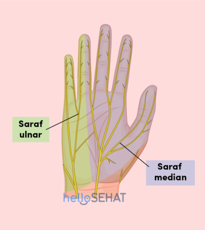 foto van de hand - mediane nervus ulnaris